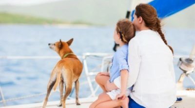 6 TIPS WHEN TAKING YOUR DOG ON VACATION
