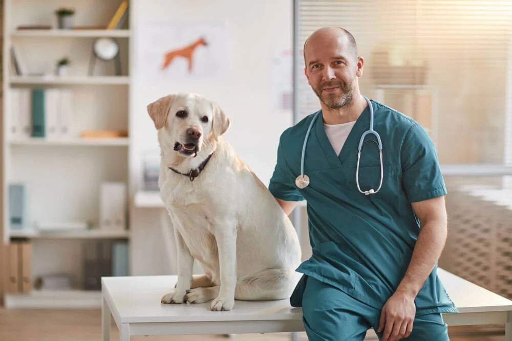 Vet Clinic Online